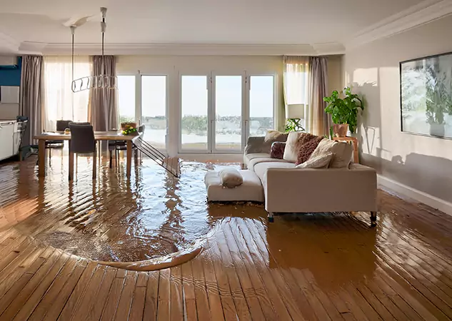 Your Trusted Water Removal Specialists in Paola, KS
